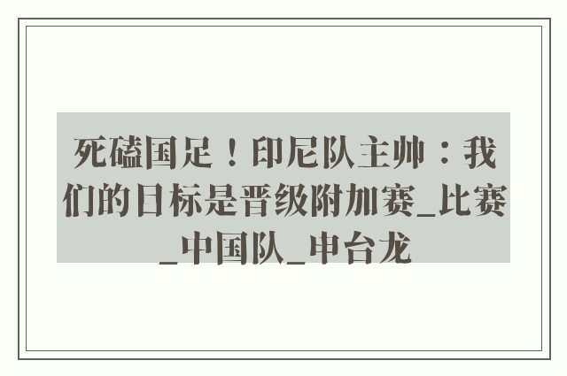 死磕国足！印尼队主帅：我们的目标是晋级附加赛_比赛_中国队_申台龙