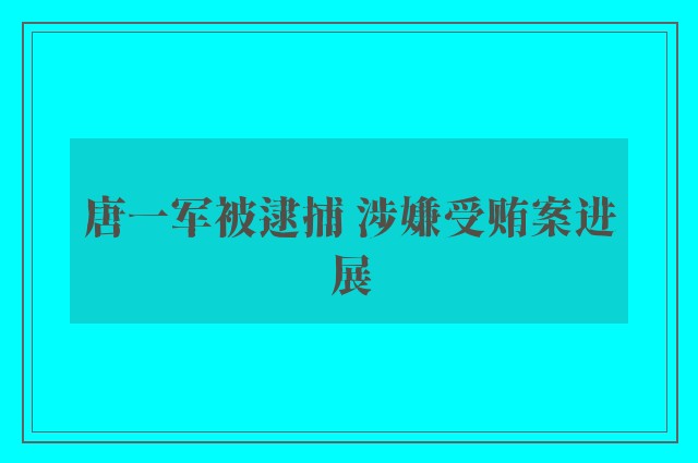 唐一军被逮捕 涉嫌受贿案进展