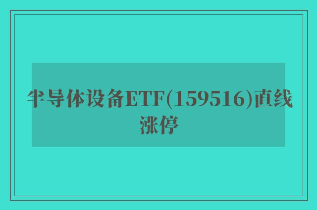 半导体设备ETF(159516)直线涨停