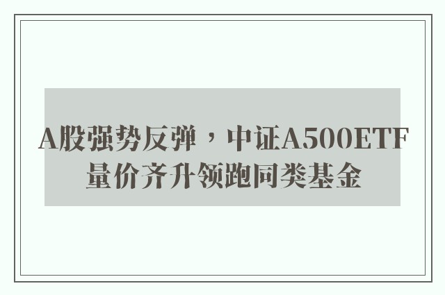 A股强势反弹，中证A500ETF量价齐升领跑同类基金