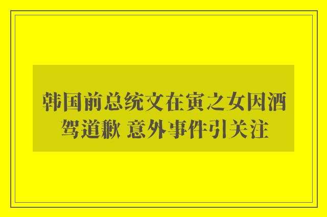 韩国前总统文在寅之女因酒驾道歉 意外事件引关注