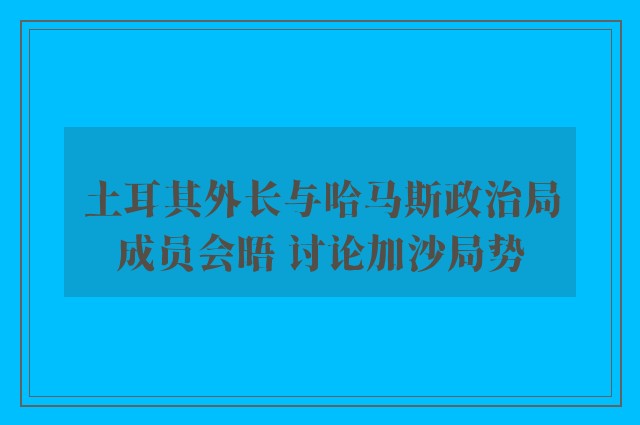 土耳其外长与哈马斯政治局成员会晤 讨论加沙局势