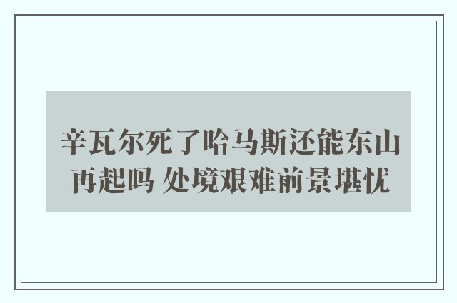 辛瓦尔死了哈马斯还能东山再起吗 处境艰难前景堪忧