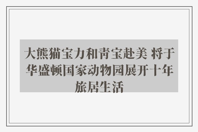 大熊猫宝力和青宝赴美 将于华盛顿国家动物园展开十年旅居生活