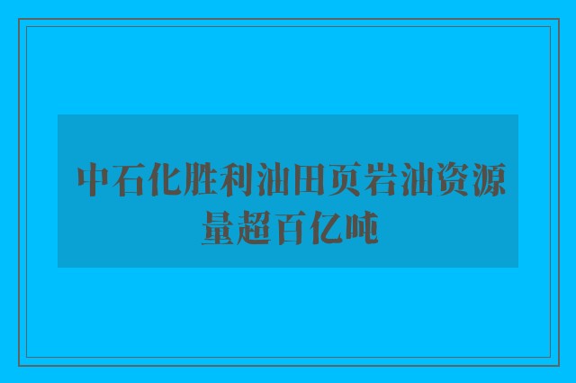 中石化胜利油田页岩油资源量超百亿吨