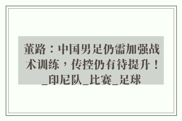 董路：中国男足仍需加强战术训练，传控仍有待提升！_印尼队_比赛_足球