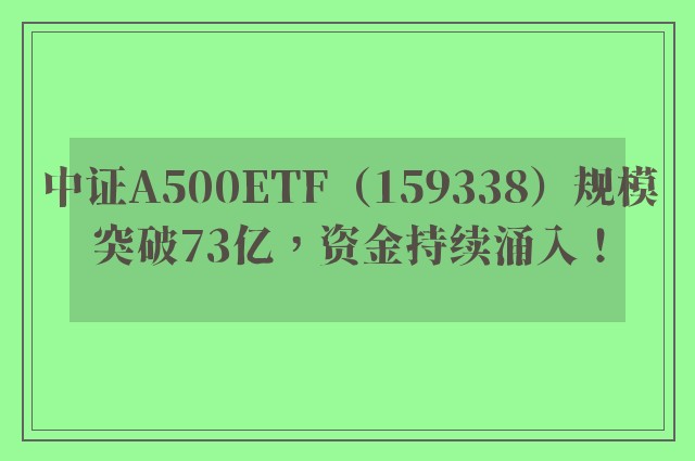 中证A500ETF（159338）规模突破73亿，资金持续涌入！