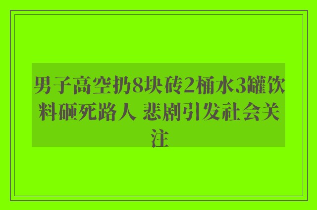 男子高空扔8块砖2桶水3罐饮料砸死路人 悲剧引发社会关注