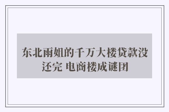 东北雨姐的千万大楼贷款没还完 电商楼成谜团