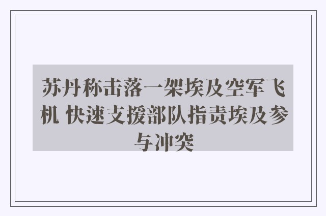 苏丹称击落一架埃及空军飞机 快速支援部队指责埃及参与冲突