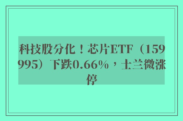 科技股分化！芯片ETF（159995）下跌0.66%，士兰微涨停