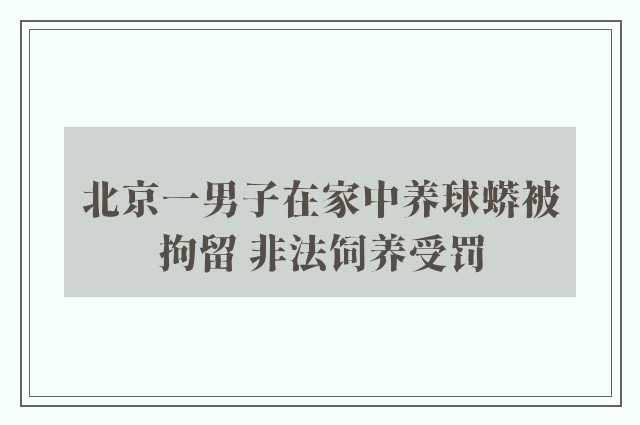 北京一男子在家中养球蟒被拘留 非法饲养受罚