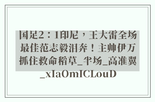 国足2：1印尼，王大雷全场最佳范志毅泪奔！主帅伊万抓住救命稻草_半场_高准翼_xIaOmICLouD