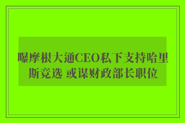 曝摩根大通CEO私下支持哈里斯竞选 或谋财政部长职位