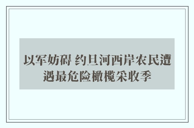 以军妨碍 约旦河西岸农民遭遇最危险橄榄采收季