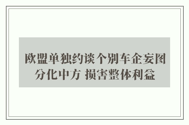 欧盟单独约谈个别车企妄图分化中方 损害整体利益