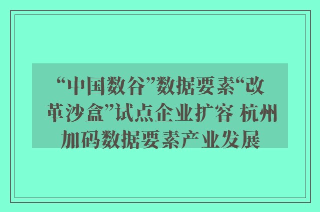 “中国数谷”数据要素“改革沙盒”试点企业扩容 杭州加码数据要素产业发展