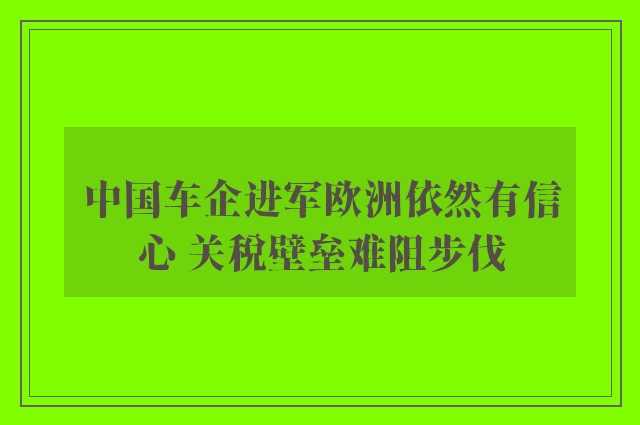 中国车企进军欧洲依然有信心 关税壁垒难阻步伐