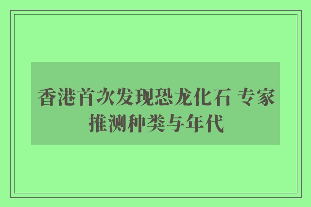 香港首次发现恐龙化石 专家推测种类与年代