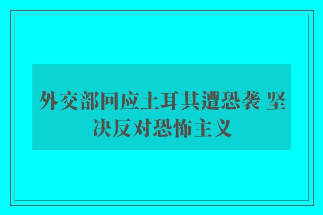 外交部回应土耳其遭恐袭 坚决反对恐怖主义