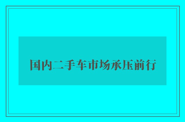 国内二手车市场承压前行