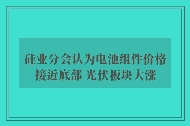 硅业分会认为电池组件价格接近底部 光伏板块大涨