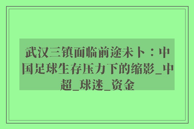 武汉三镇面临前途未卜：中国足球生存压力下的缩影_中超_球迷_资金