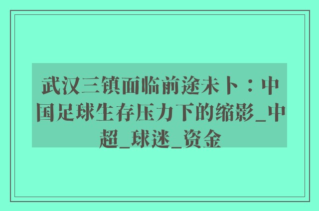 武汉三镇面临前途未卜：中国足球生存压力下的缩影_中超_球迷_资金