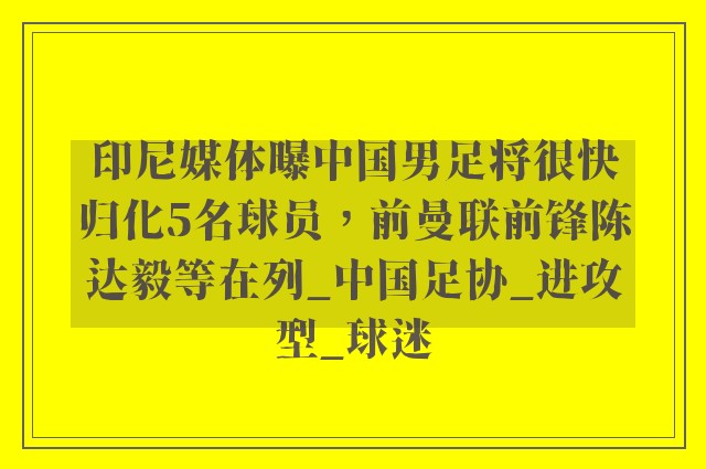 印尼媒体曝中国男足将很快归化5名球员，前曼联前锋陈达毅等在列_中国足协_进攻型_球迷