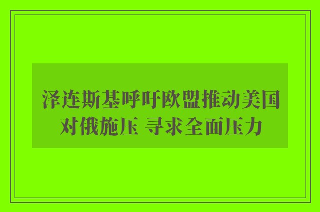 泽连斯基呼吁欧盟推动美国对俄施压 寻求全面压力