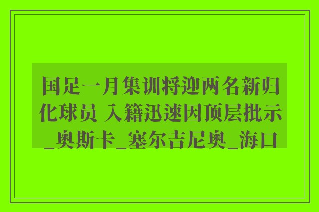 国足一月集训将迎两名新归化球员 入籍迅速因顶层批示_奥斯卡_塞尔吉尼奥_海口