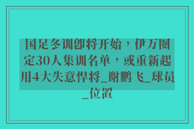 国足冬训即将开始，伊万圈定30人集训名单，或重新起用4大失意悍将_谢鹏飞_球员_位置