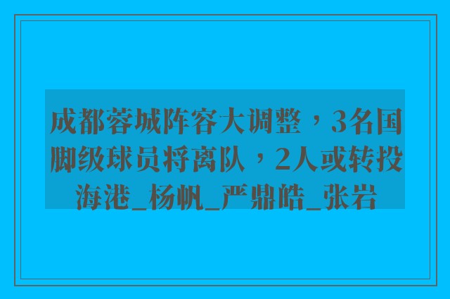 成都蓉城阵容大调整，3名国脚级球员将离队，2人或转投海港_杨帆_严鼎皓_张岩