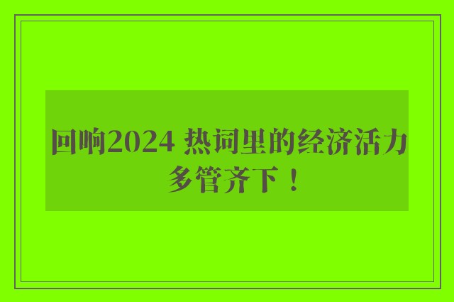 回响2024 热词里的经济活力 多管齐下！