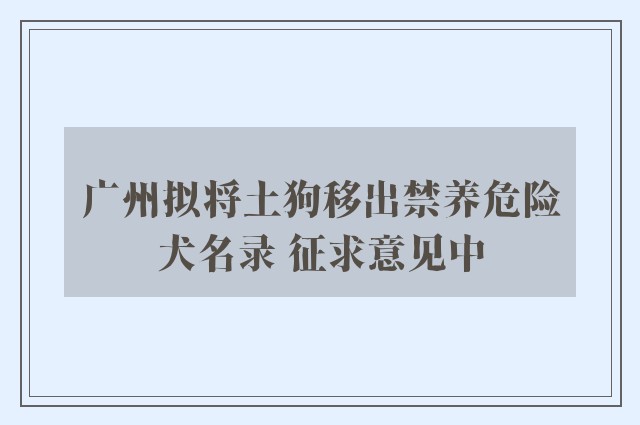 广州拟将土狗移出禁养危险犬名录 征求意见中