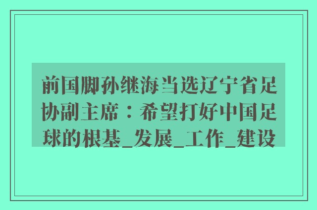 前国脚孙继海当选辽宁省足协副主席：希望打好中国足球的根基_发展_工作_建设