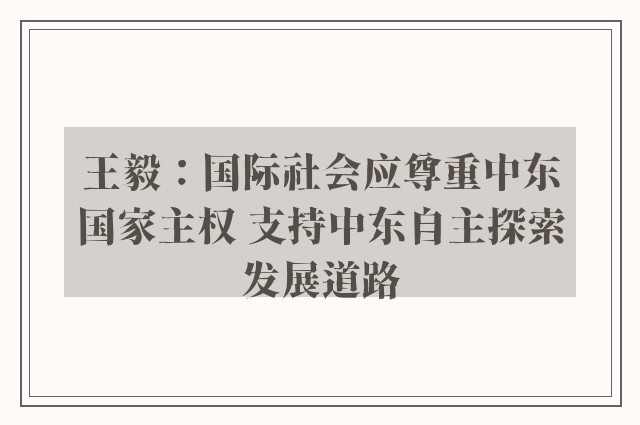 王毅：国际社会应尊重中东国家主权 支持中东自主探索发展道路