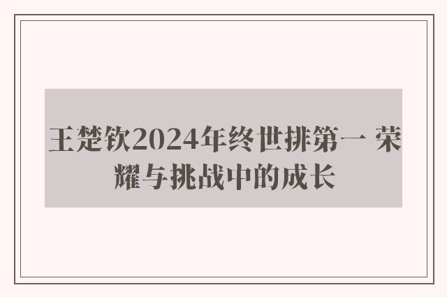 王楚钦2024年终世排第一 荣耀与挑战中的成长