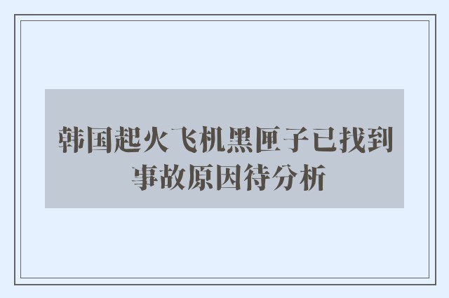 韩国起火飞机黑匣子已找到 事故原因待分析