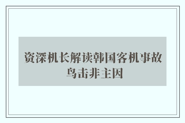 资深机长解读韩国客机事故 鸟击非主因