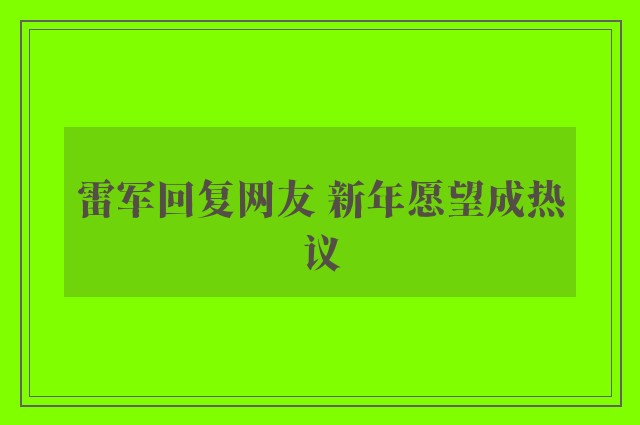 雷军回复网友 新年愿望成热议