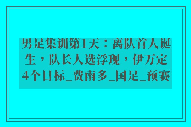 男足集训第1天：离队首人诞生，队长人选浮现，伊万定4个目标_费南多_国足_预赛