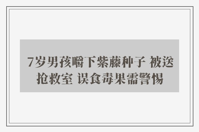 7岁男孩嚼下紫藤种子 被送抢救室 误食毒果需警惕