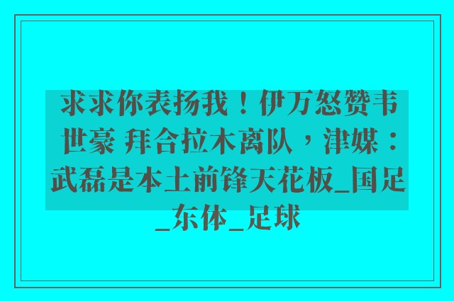 求求你表扬我！伊万怒赞韦世豪 拜合拉木离队，津媒：武磊是本土前锋天花板_国足_东体_足球