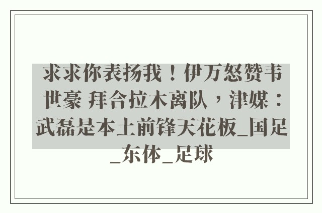 求求你表扬我！伊万怒赞韦世豪 拜合拉木离队，津媒：武磊是本土前锋天花板_国足_东体_足球