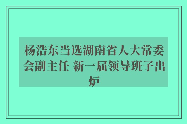 杨浩东当选湖南省人大常委会副主任 新一届领导班子出炉