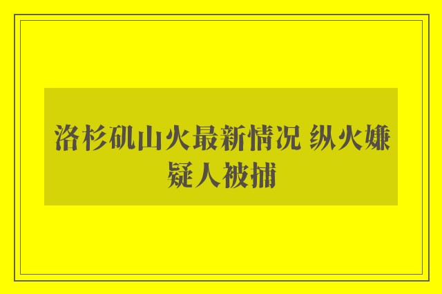 洛杉矶山火最新情况 纵火嫌疑人被捕