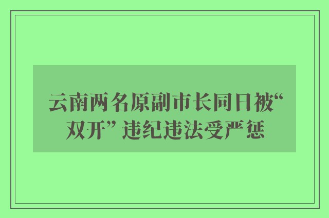 云南两名原副市长同日被“双开” 违纪违法受严惩