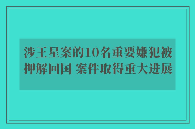 涉王星案的10名重要嫌犯被押解回国 案件取得重大进展