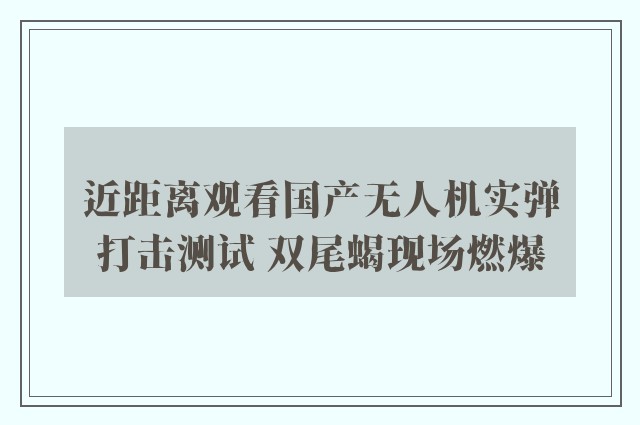 近距离观看国产无人机实弹打击测试 双尾蝎现场燃爆